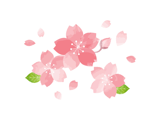 さくら