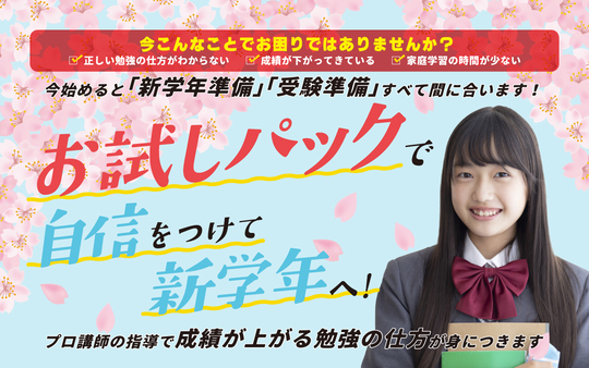 お試しパックのTOP画像